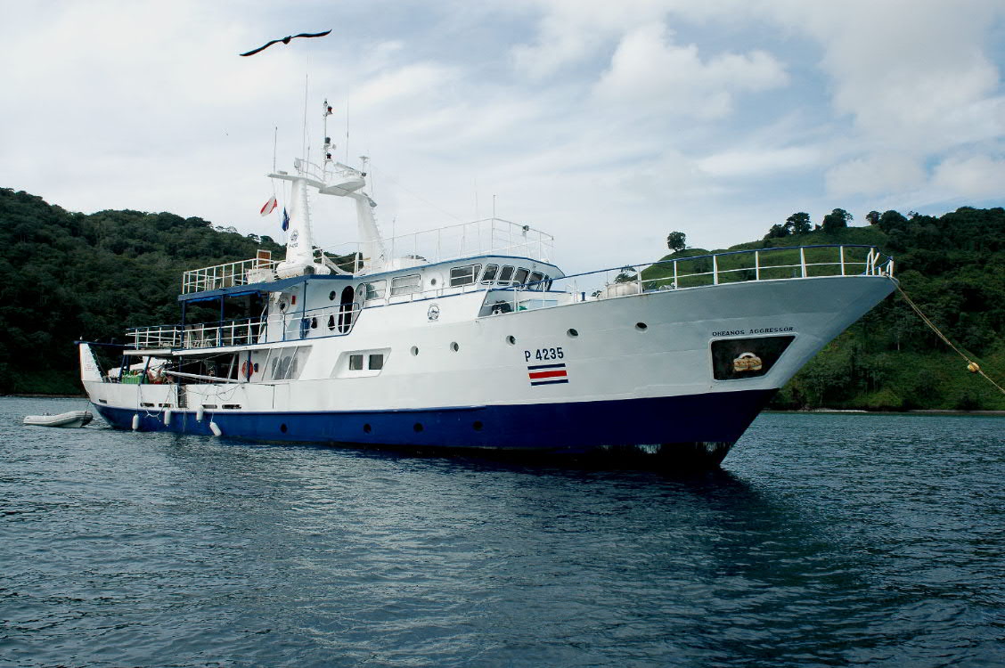 Тур в Коста Рика с дайвинг-сафари на о.Каньо на яхте Okeanos Aggressor.  12 дней/11 ночей.