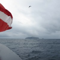 Галапагосские острова, 2012 BY O.WILF