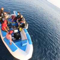 Индонезия,дайвинг на Раджа Ампат и море Банда