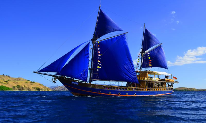 Тур в Индонезию с дайвинг-сафари на о.Комодо на яхте Moana и дайвингом на островах Гили.  10 дней/9 ночей.